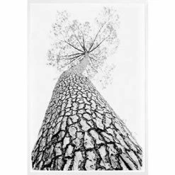 Celadon Wall Art + Mirrors Courage