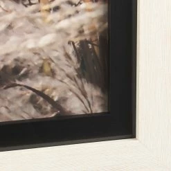 Mercana Nature's Mellodee (Set Of 2) Art