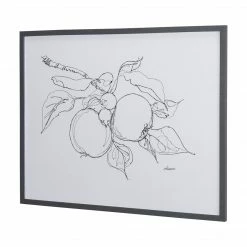 Mercana Art Fruit Tree Sketch Framed Series I