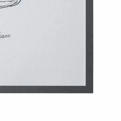 Mercana Fruit Tree Sketch Framed Series II Art