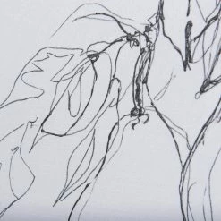 Mercana Fruit Tree Sketch Framed Series II Art