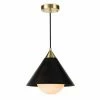 Regina Andrew Lighting Hilton Pendant | Black
