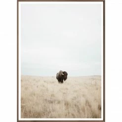 Celadon Wall Art + Mirrors Buffalo Plains