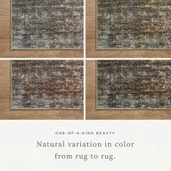 Loloi Loloi Rugs Billie Rug 06 | Tobacco/Rust