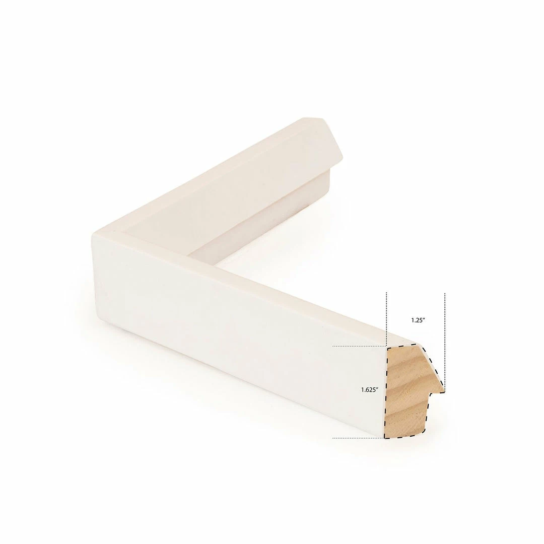 Celadon Bondi Beach Wall Art + Mirrors