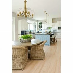 Z-lite Pendants Joliet 5-Light Chandelier | Olde Brass