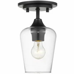 Z-lite Flush Mounts Joliet Flush Mount | Matte Black