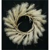 Select Artificials Pampas Grass Wreath 26"