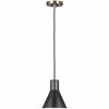 Generation Lighting Pendants Towner 1-Light Pendant | Satin Bronze/Black
