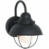 Generation Lighting Sebring Outdoor Wall Lantern | Large
