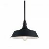 Matteo Lighting Scacchi 14" Pendant