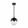 Matteo Lighting Torino 1-Light Pendant | Nickel