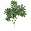 Select Artificials Pittosporum Branch