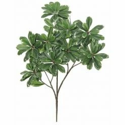 Select Artificials Pittosporum Branch