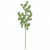 Select Artificials Decor Mini Watermelon Pepperomia Spray