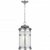 Generation Lighting Outdoor Lighting Newport Hanging Lantern | Brushed Steel