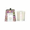 Pure Living Candles + Candleholders Soy Candle | Fresh Fig & Wild Ginger