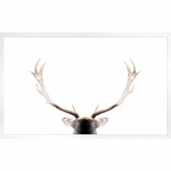 Celadon Looking North Wall Art + Mirrors