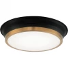 Matteo Lighting Jaxx LED Flush Mount (Small) | Black/Gold