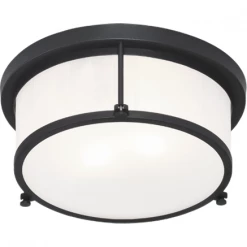 Matteo Lighting Caisse Claire 11" Flush Mount | Matte Black