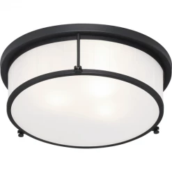 Matteo Lighting Caisse Claire 15" Flush Mount | Matte Black