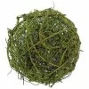 Select Artificials Moss Vine Orb Decor