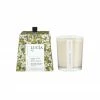 Pure Living Candles + Candleholders Soy Candle | Olive Blossom & Laurel Leaf
