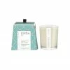 Pure Living Soy Candle | Sea Watercress & Chai Tea