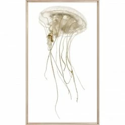 Celadon Pacific Jelly I Wall Art + Mirrors