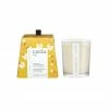 Pure Living Candles + Candleholders Soy Candle | Tea Leaf & Wild Honey