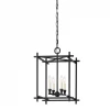 HVL - Troy Lighting Huck Medium Pendant | Black Iron