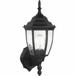 Generation Lighting Bakersville Wall Lantern | Clear Black
