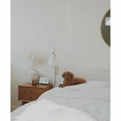 HVL - Mitzi Willa Wall Sconce Lighting