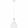 Generation Lighting Darwin 12" Pendant