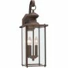 Generation Lighting Jamestowne Wall Lantern (Large) | Antique Bronze