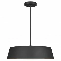 Generation Lighting Asher 19" Pendant | Midnight Black
