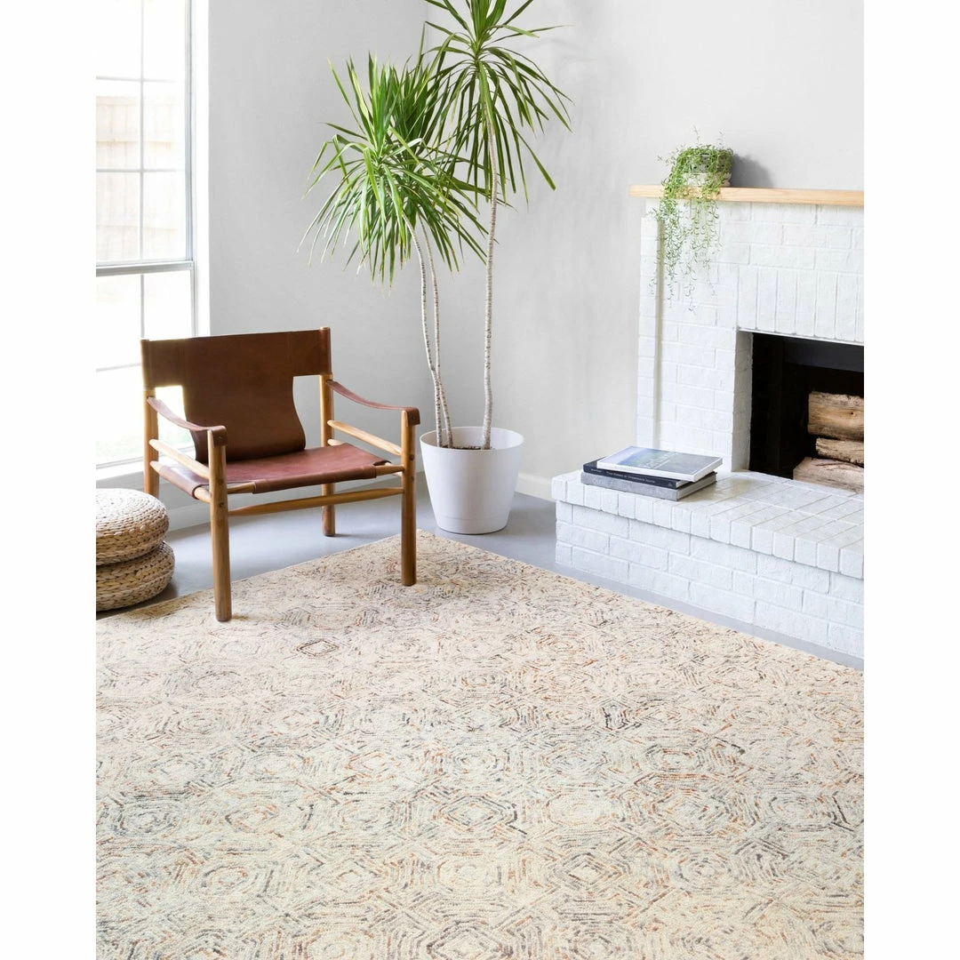 Loloi Ziva Rug 02 | Multi Indoor Rugs